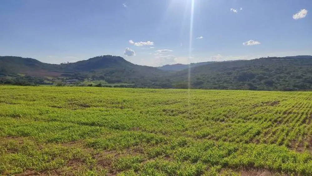 Fazenda, 437 hectares - Foto 9