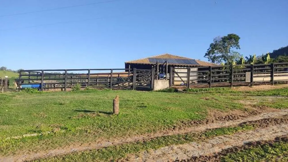 Fazenda, 437 hectares - Foto 19