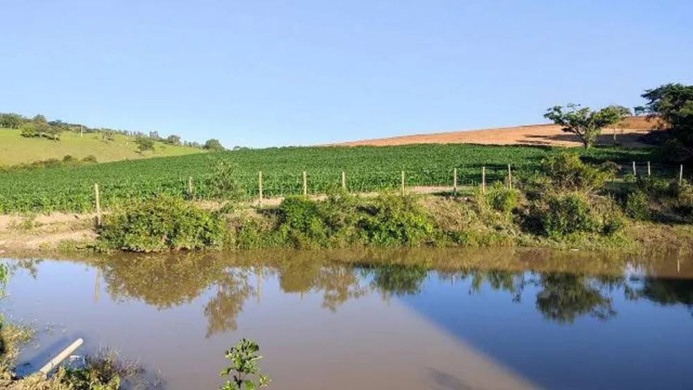 Fazenda, 437 hectares - Foto 11