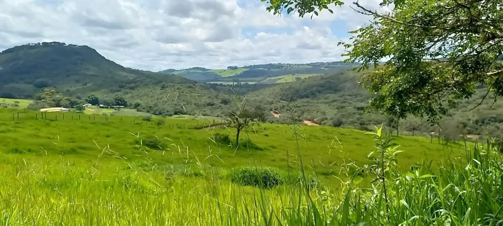 Fazenda, 437 hectares - Foto 6