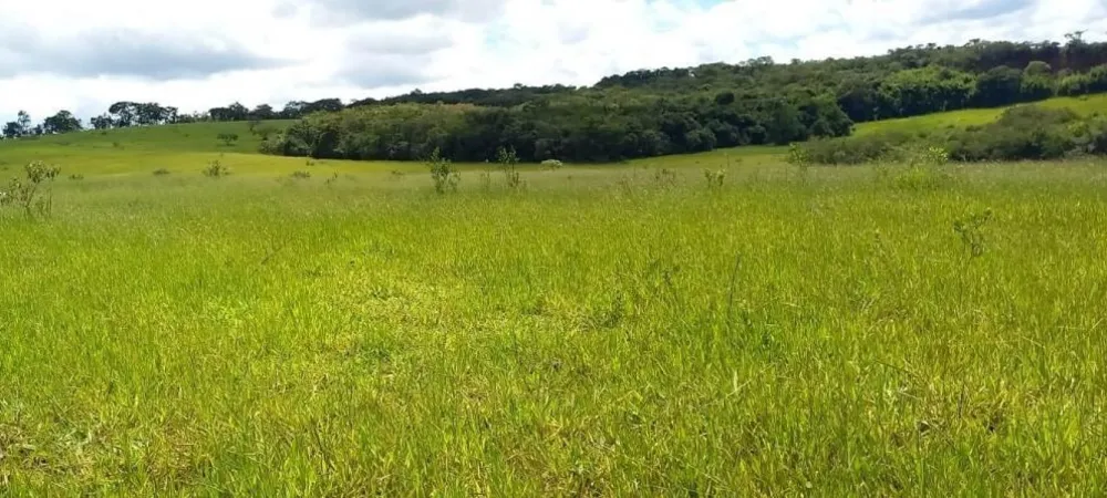 Fazenda, 437 hectares - Foto 7