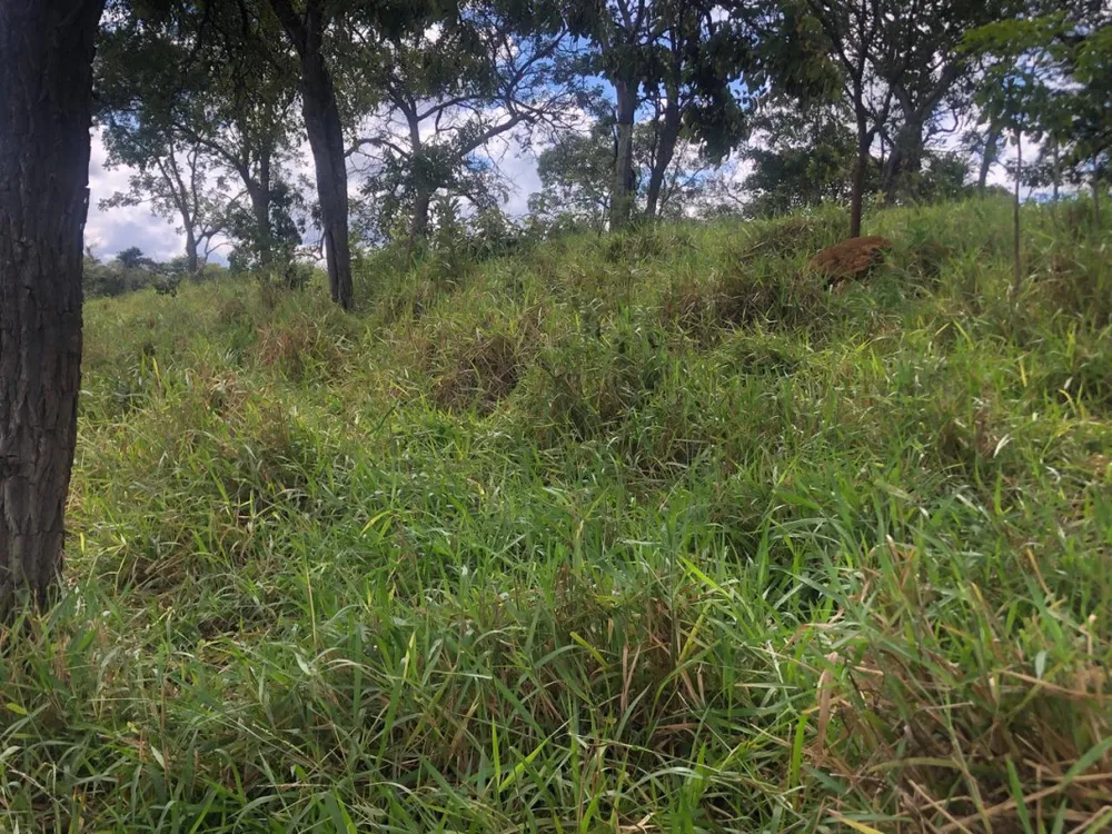 Fazenda, 20 hectares - Foto 3