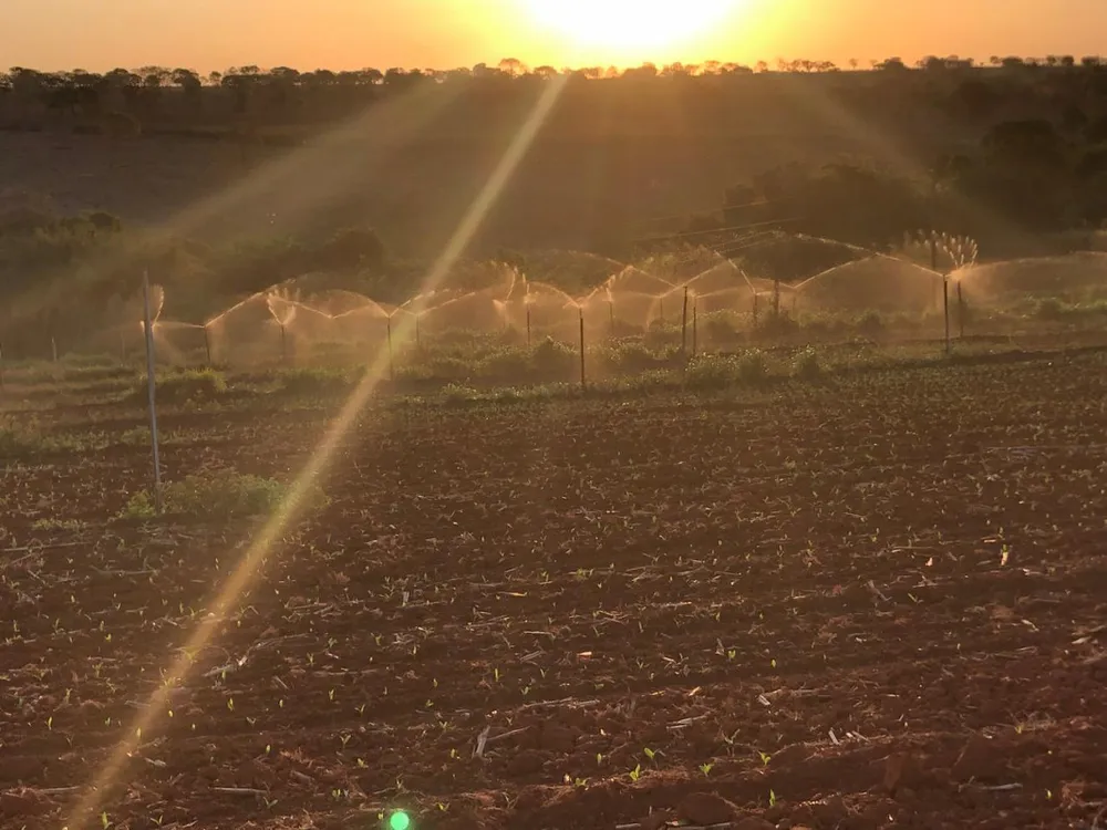 Fazenda, 20 hectares - Foto 12