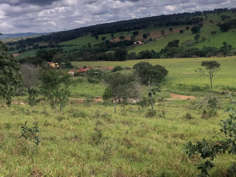 Fazenda, 20 hectares - Foto 4
