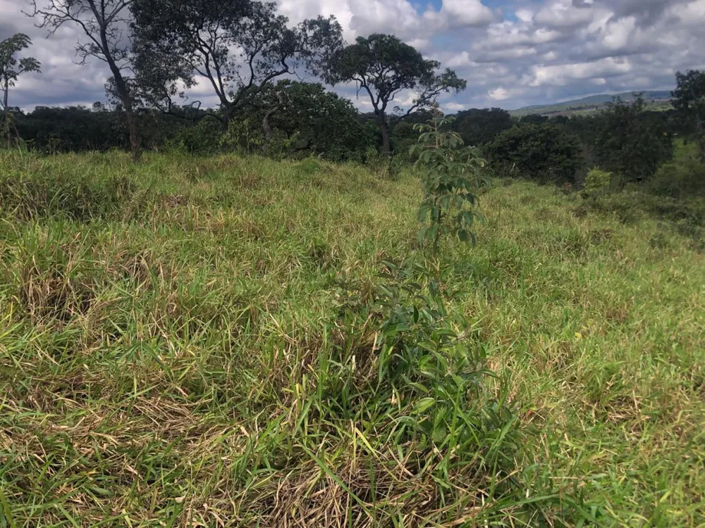 Fazenda, 20 hectares - Foto 11