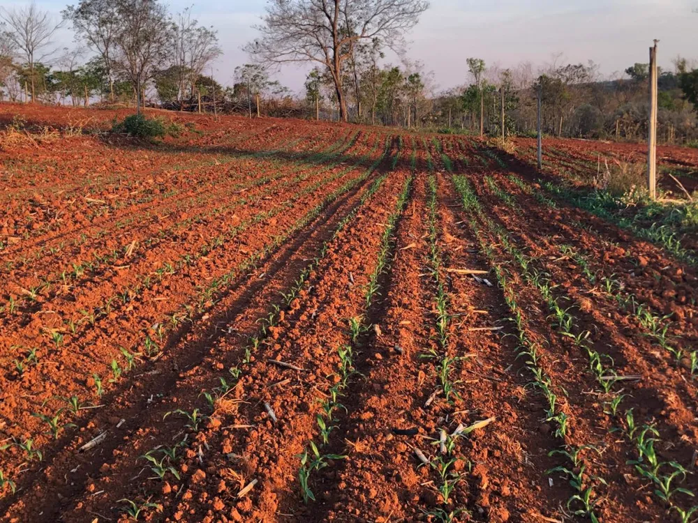 Fazenda, 20 hectares - Foto 14