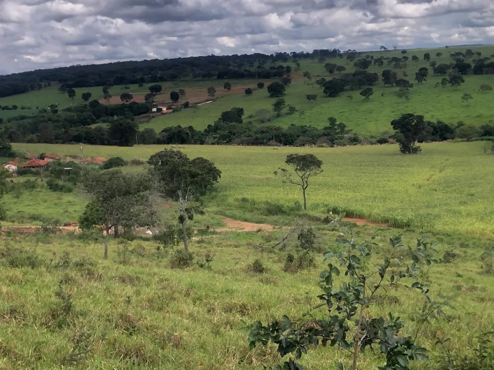 Fazenda, 20 hectares - Foto 8