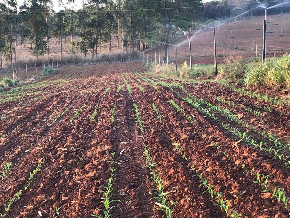 Fazenda, 20 hectares - Foto 6