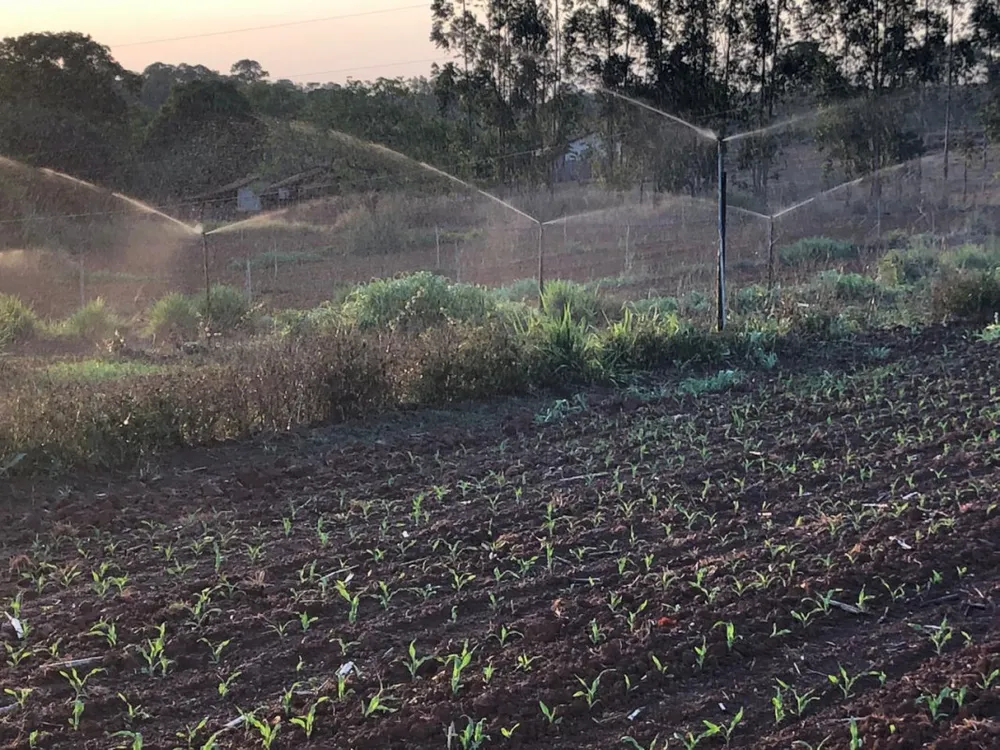 Fazenda, 20 hectares - Foto 4