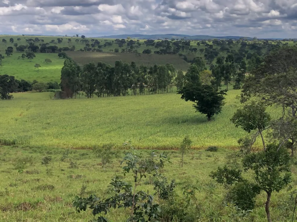 Fazenda, 20 hectares - Foto 9