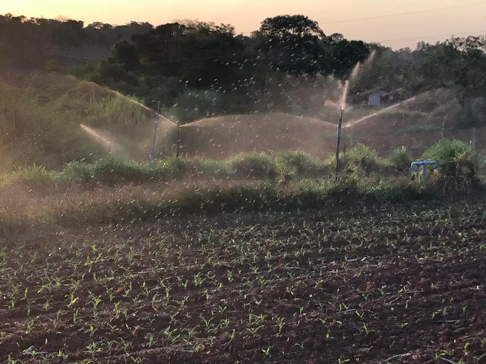 Fazenda, 20 hectares - Foto 1