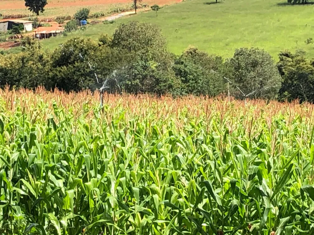 Fazenda, 20 hectares - Foto 2