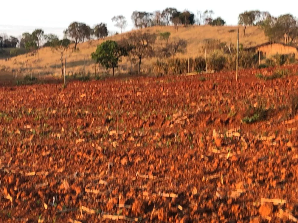 Fazenda, 20 hectares - Foto 11