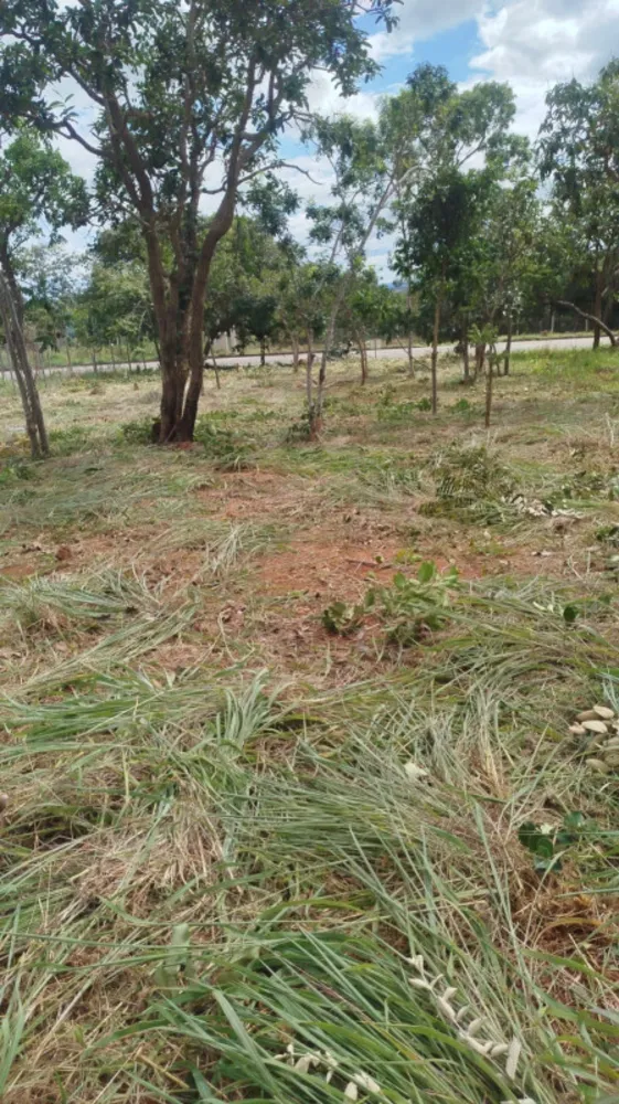 Terreno, 1000 m² - Foto 5
