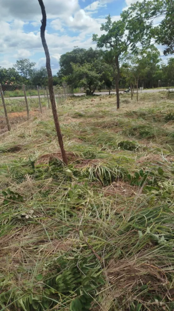 Terreno, 1000 m² - Foto 8
