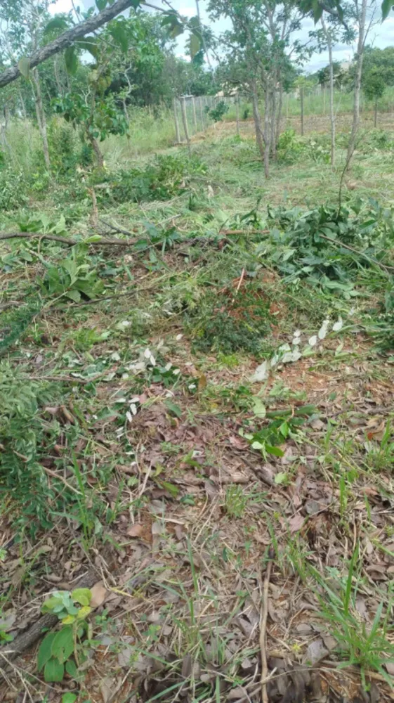 Terreno, 1000 m² - Foto 12
