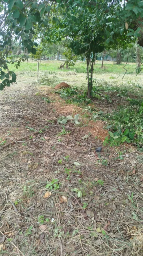 Terreno, 1000 m² - Foto 4
