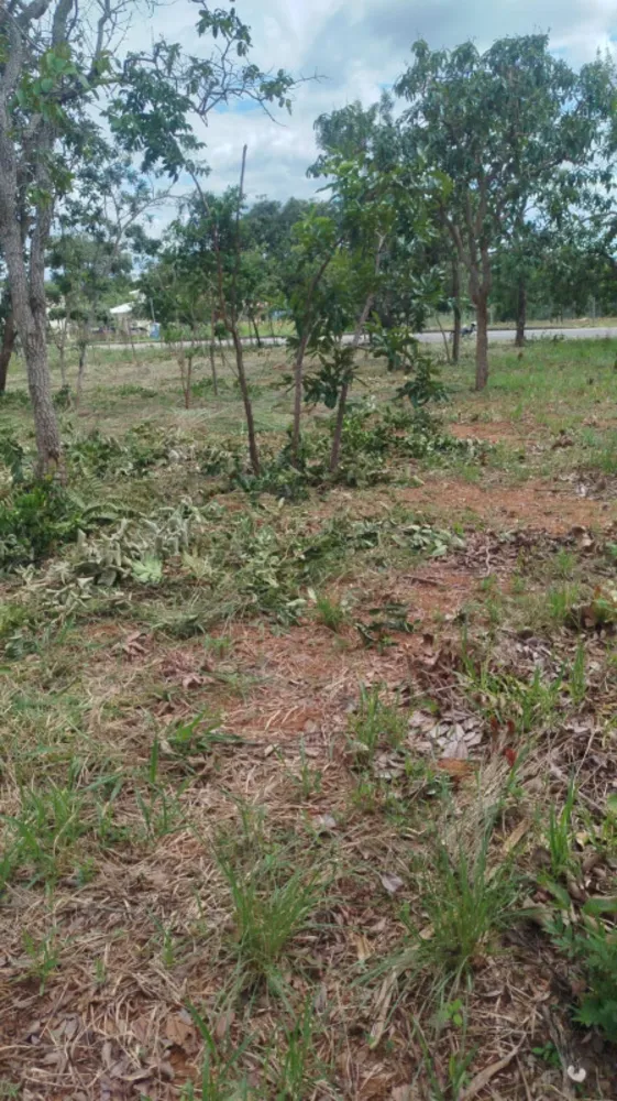 Terreno, 1000 m² - Foto 6