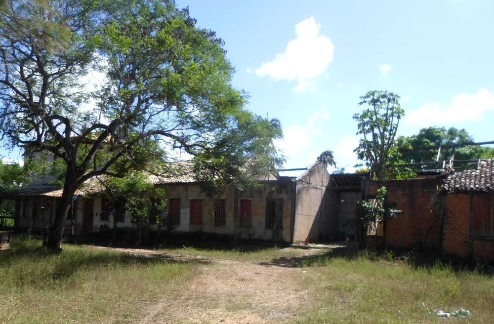 Fazenda à venda com 4 quartos, 8130000m² - Foto 5