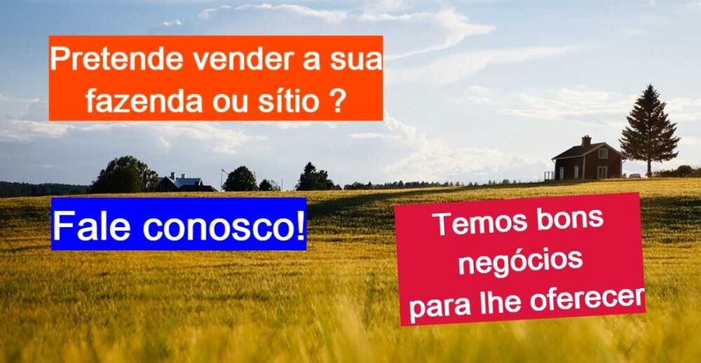 Fazenda à venda com 4 quartos, 8130000m² - Foto 8