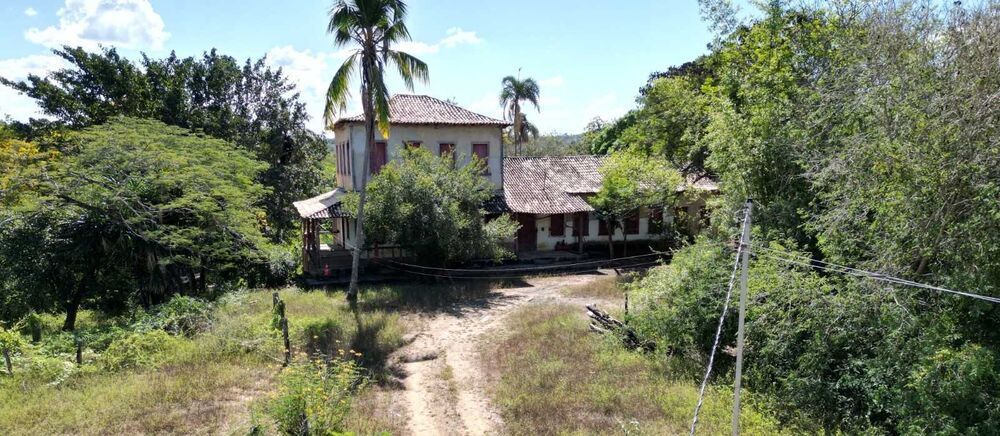 Fazenda à venda com 4 quartos, 8130000m² - Foto 4