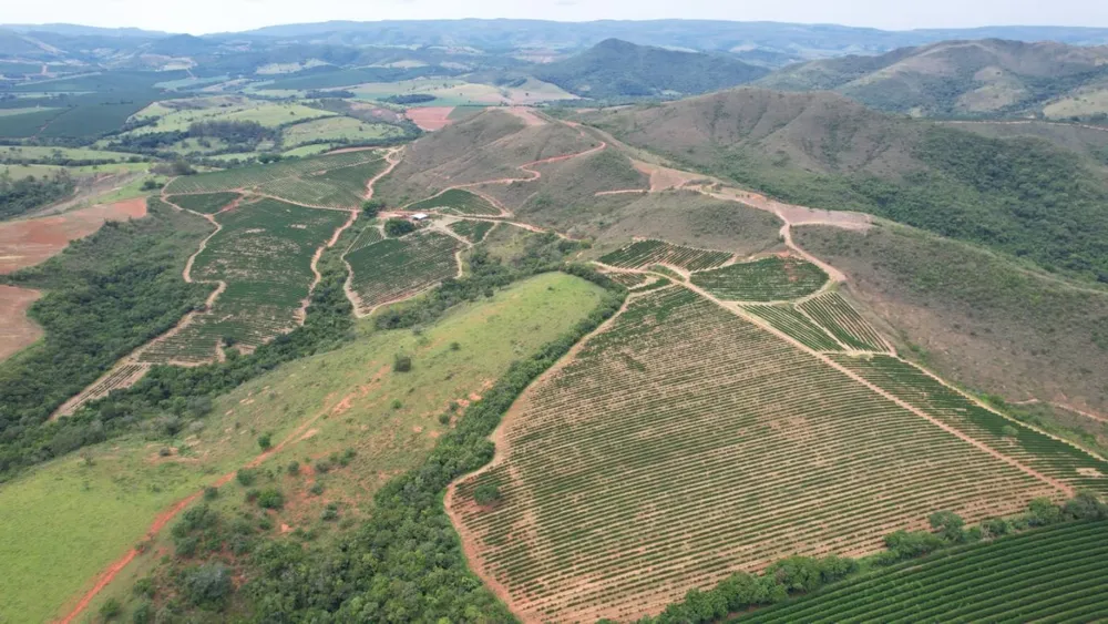 Fazenda, 121 hectares - Foto 2