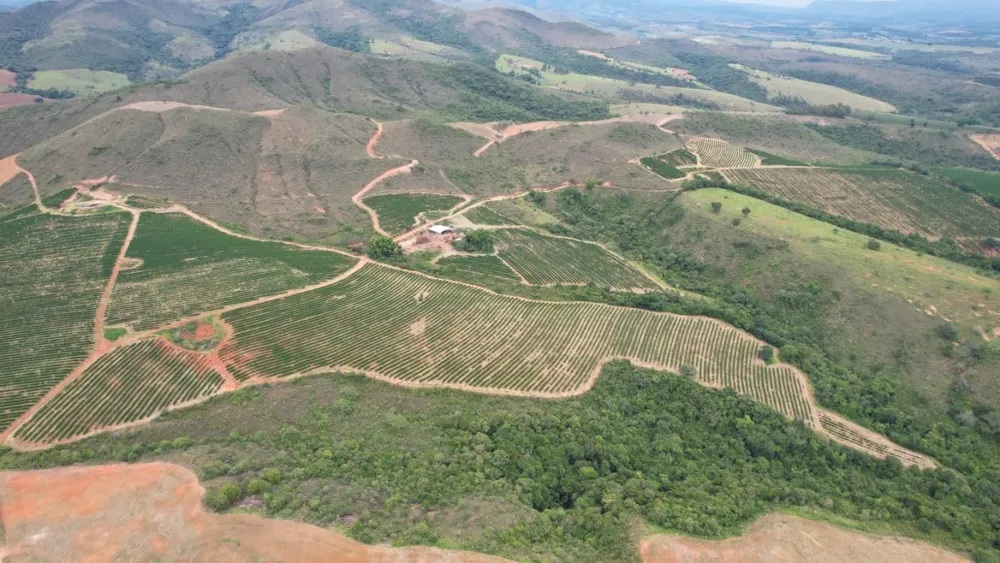 Fazenda, 121 hectares - Foto 1