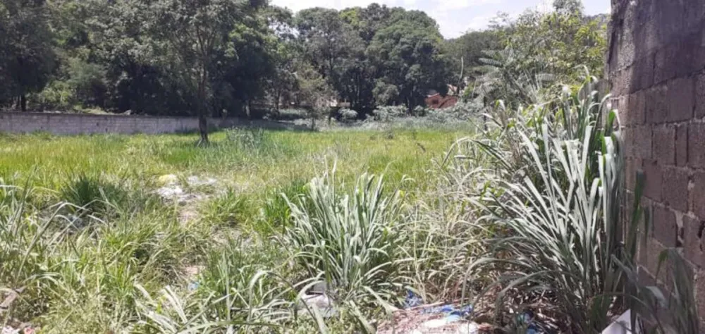 Terreno, 5000 m² - Foto 2