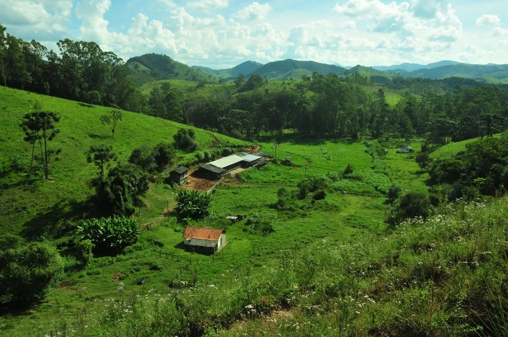 Fazenda, 3 quartos - Foto 1