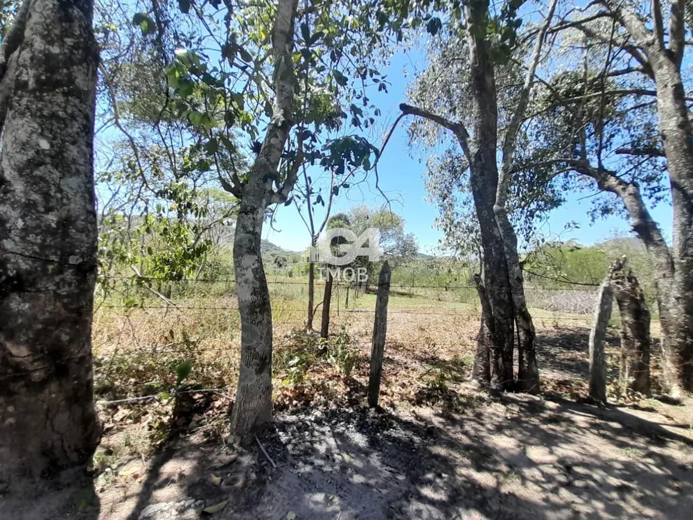 Terreno, 6 hectares - Foto 4
