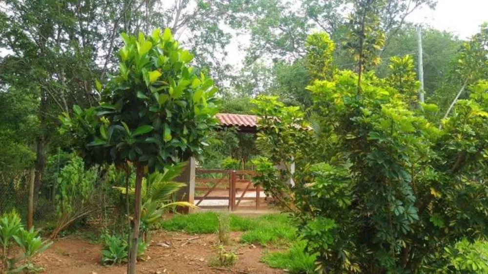 Chácara, 4 quartos - Foto 6