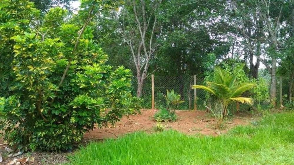 Chácara, 4 quartos - Foto 3
