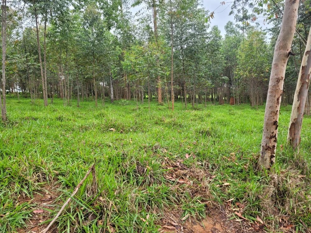 Apartamento à venda com 2 quartos, 180000m² - Foto 6