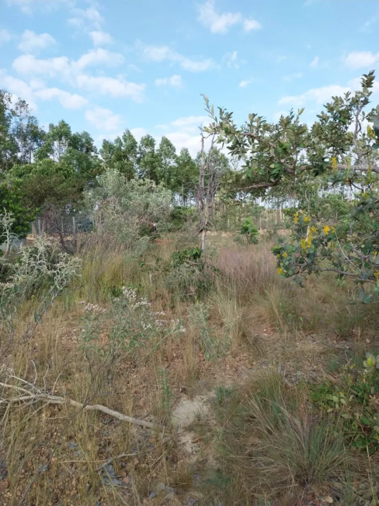 Terreno, 1000 m² - Foto 2