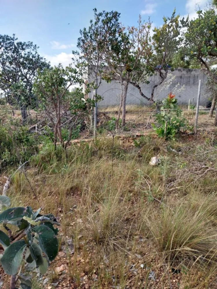 Terreno, 1000 m² - Foto 4