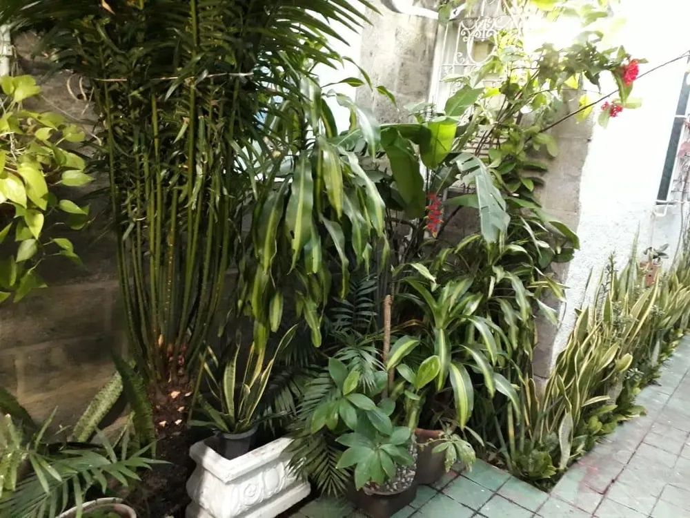 Casa, 6 quartos, 600 m² - Foto 6