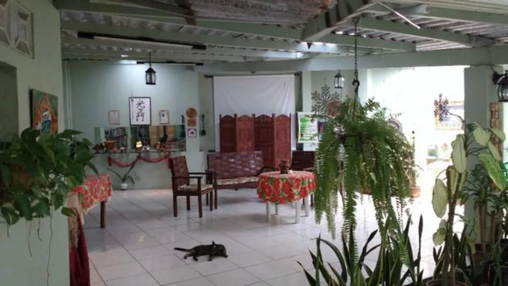 Casa, 6 quartos, 600 m² - Foto 6