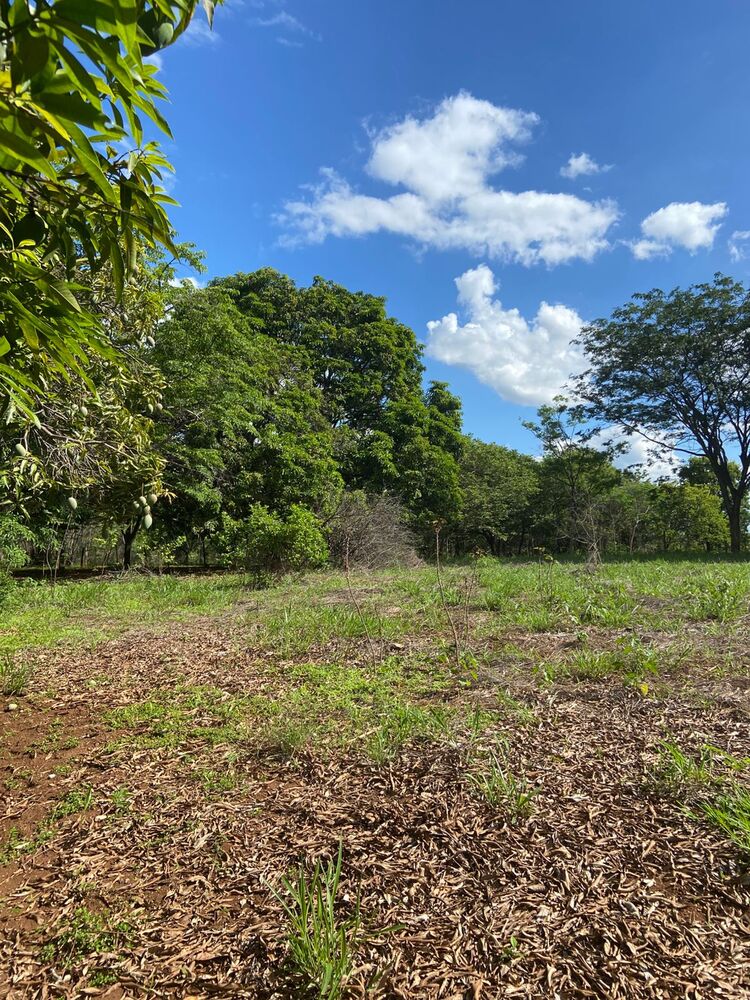 Sítio à venda com 3 quartos, 36000m² - Foto 12