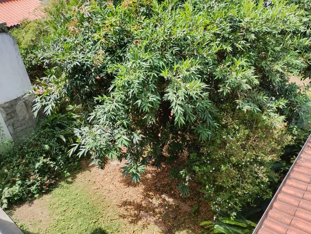 Casa, 5 quartos, 338 m² - Foto 2