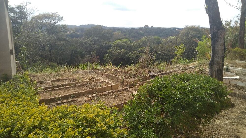 Chácara à venda com 4 quartos, 5000m² - Foto 4