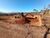 Terreno, 720 m² - Foto 6