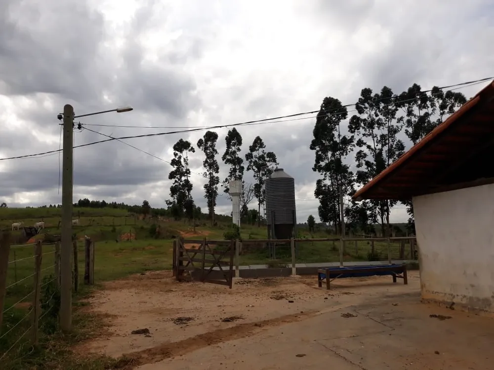 Fazenda, 4 quartos - Foto 5