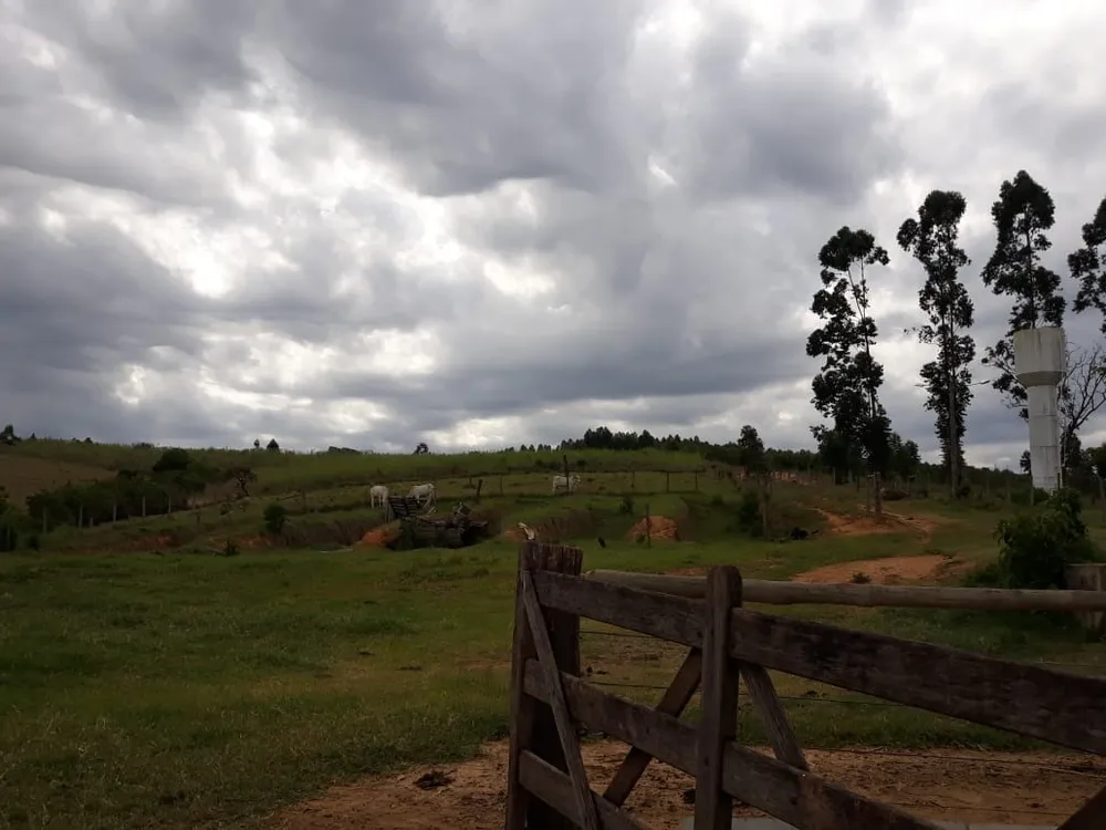 Fazenda, 4 quartos - Foto 3