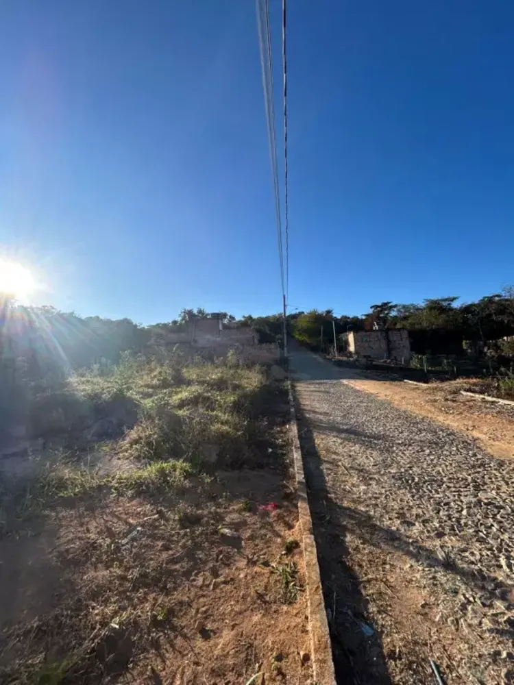 Chácara, 1 quarto, 5000 m² - Foto 5