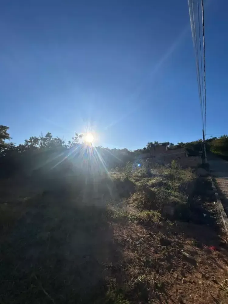 Chácara, 1 quarto, 5000 m² - Foto 6