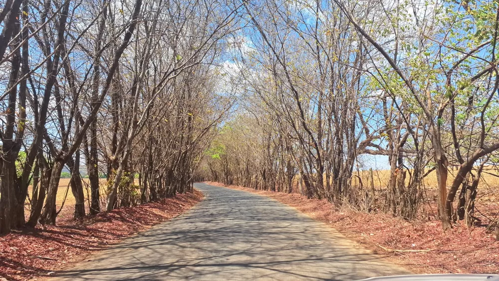 Chácara à venda com 7 quartos, 7000m² - Foto 2