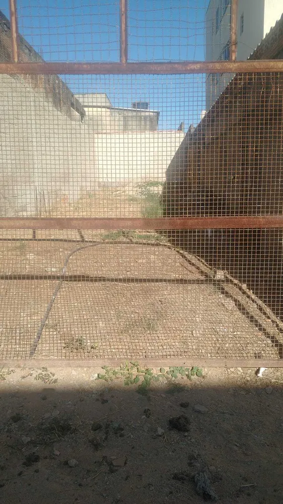 Terreno, 60 m² - Foto 3
