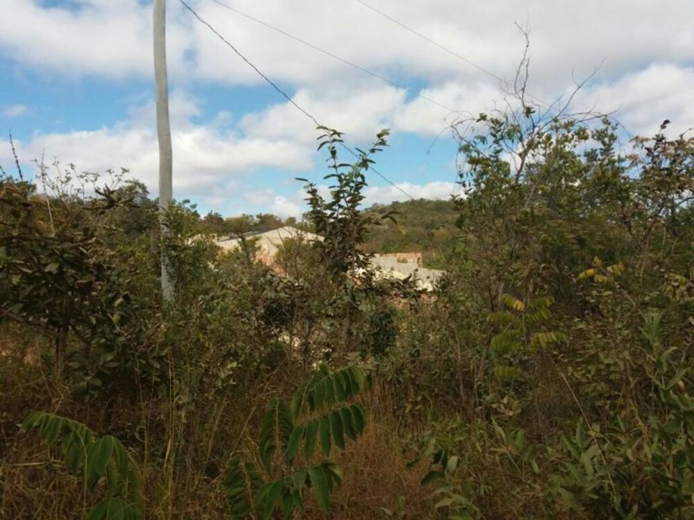 Terreno à venda, 6200m² - Foto 3