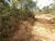 Terreno, 6200 m² - Foto 2