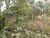 Terreno, 6200 m² - Foto 4